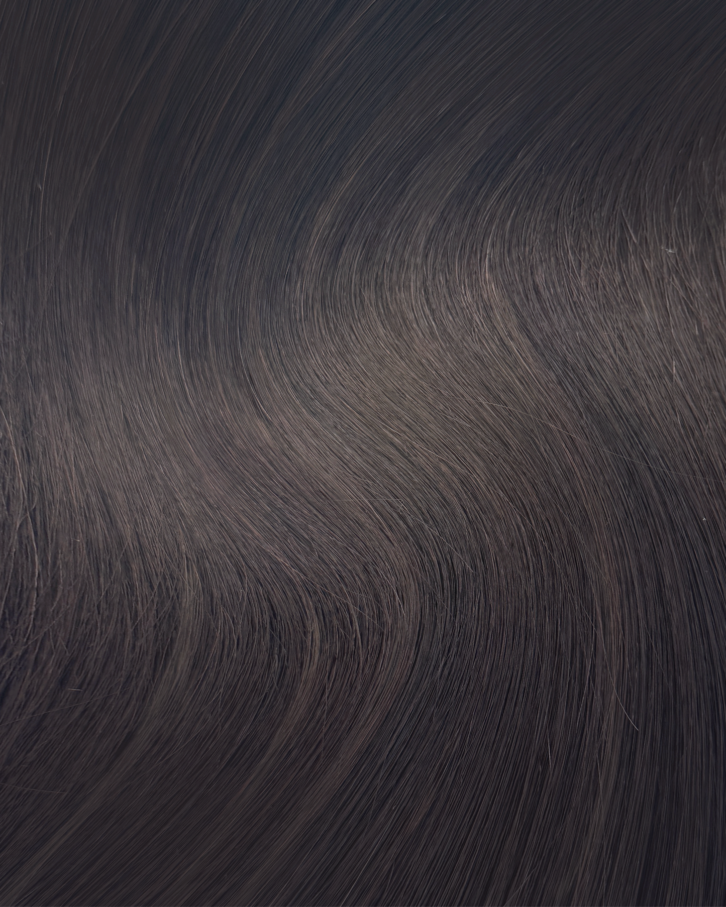 Chocolate Truffle